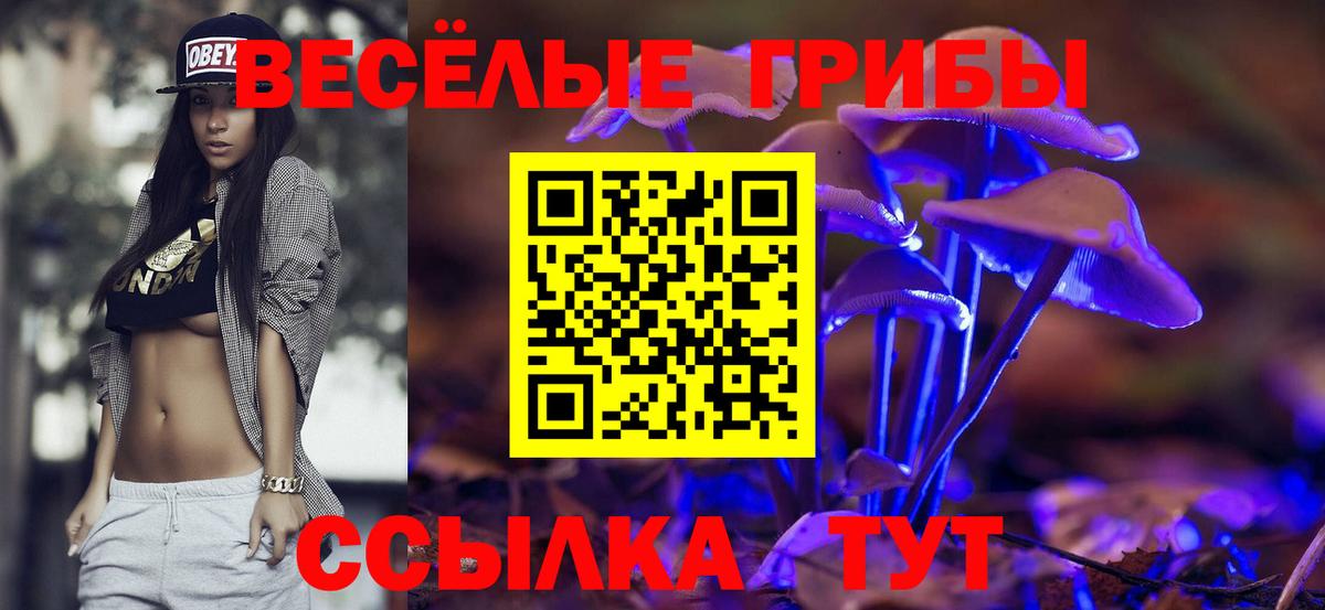 Галлюциногенные грибы Psilocybine cubensis Нижневартовск